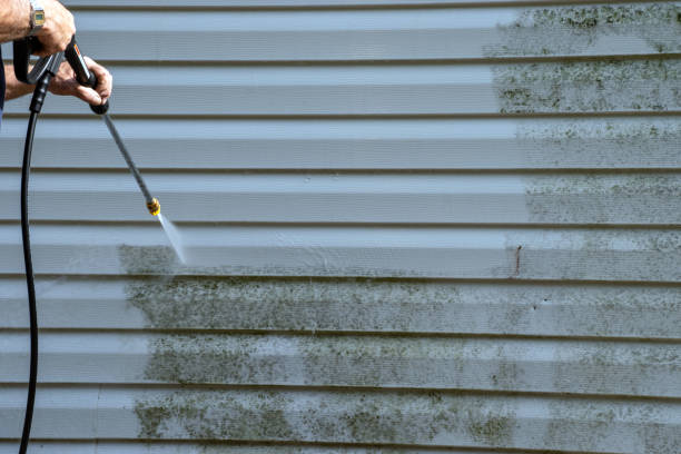 Affordable Siding Repair and Maintenance Services in Claremont, NC