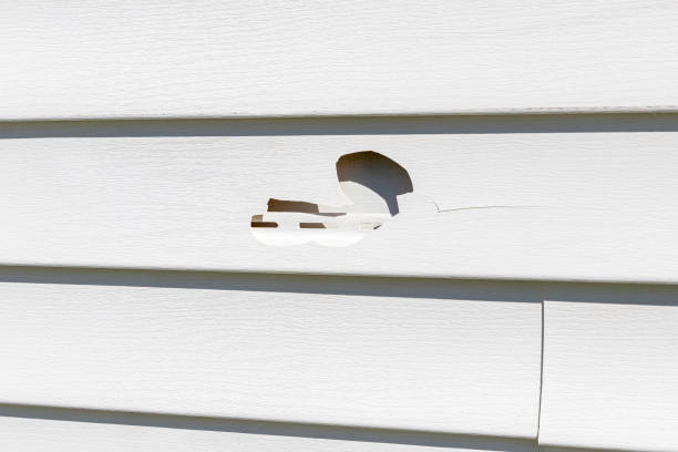 Reliable Claremont, NC Siding Solutions